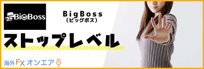 BigBoss（ビッグボス）のストップレベル