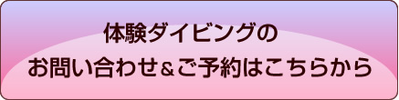 体験ダイビングのお問い合わせ＆ご予約はこちらから