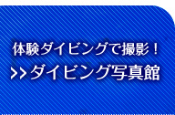 どなたでもOK！体験ダイビング