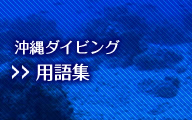 ライセンスをお持ちの方　ファンダイビング