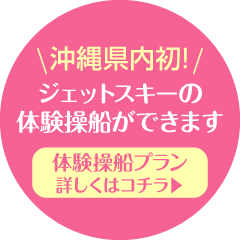 ジェットスキーの体験操船ができます